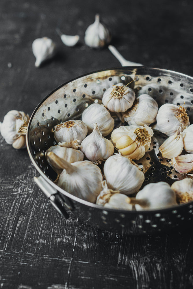 Garlic (Allium sativum)