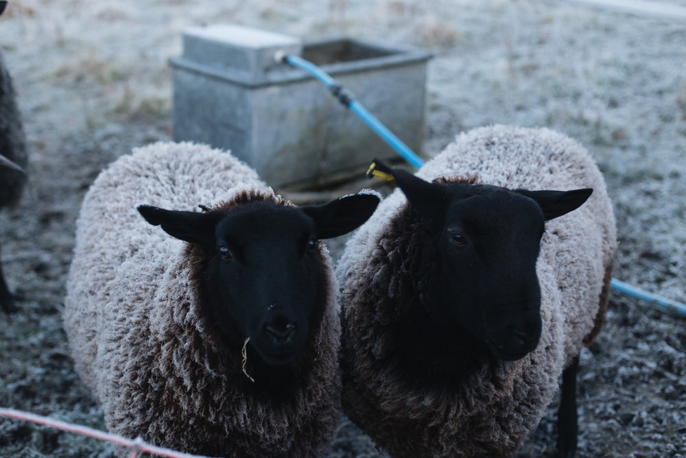 5th January 2018