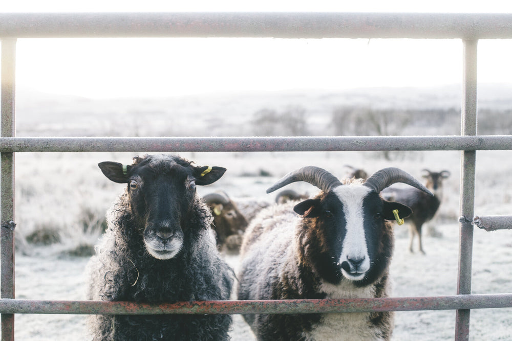 12th January 2018