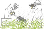 Let's talk PPE - for beekeeping!