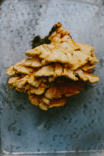 Chicken Fried Chicken of the Woods Mushrooms