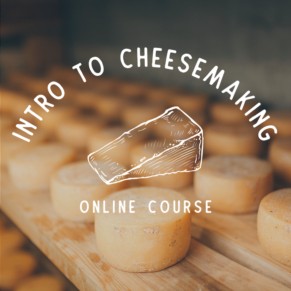 Intro to Cheesemaking