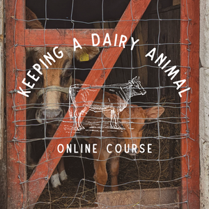 Keeping a Dairy Animal