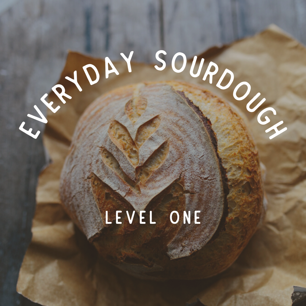 Everyday Sourdough: Level One