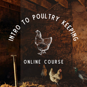 Introduction to Poultry Keeping