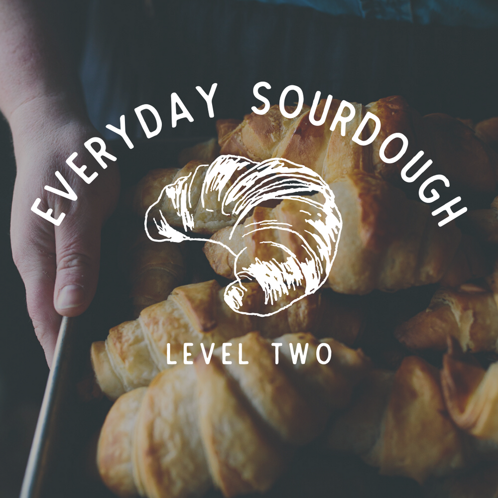 Everyday Sourdough: Level Two