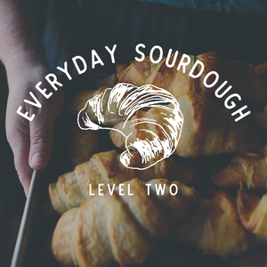 Everyday Sourdough: Level Two